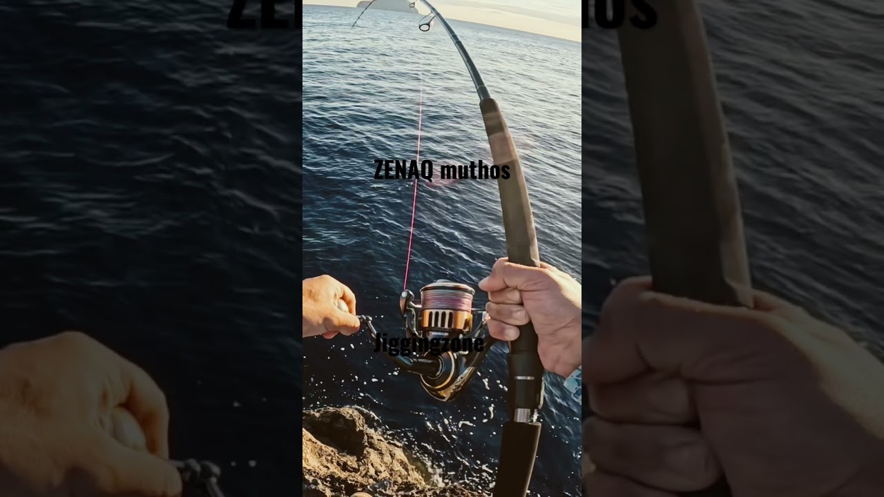 Shore jigging | ΜΕΓΑΛΟ ΨΑΡΙ | ZENAQ MUTHOS #shorejigging #psarema #ψάρεμα #daiwa #saltiga #slpworks
