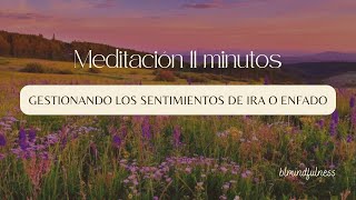 Meditación - GESTIONANDO LOS SENTIMIENTOS DE IRA O ENFADO (11 minutos)