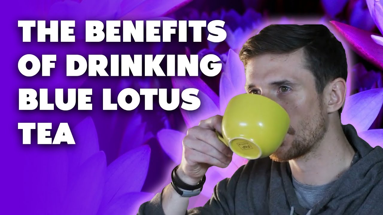 Benefits of Drinking Blue Lotus Tea - Buy Blue Lotus Flowers (Nymphaea caerulea)
