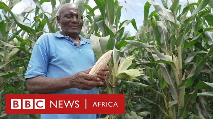 Farmers doubling their crop yields with solar-powered tractor - BBC Africa