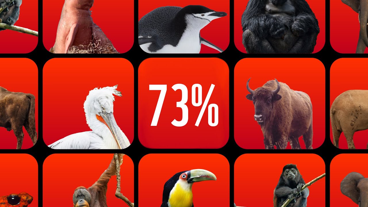 Living Planet Report 2024 | WWF-Australia - YouTube