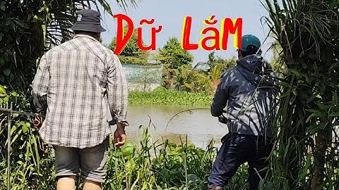 Câu cá tự nhiên/chọi mòi xuống là ăn luôn 