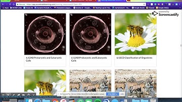 Accessing STEMScopes and STEMScopedia