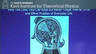 Welcome to Your Brain ▸ KITP Public Lecture by Sam Wang