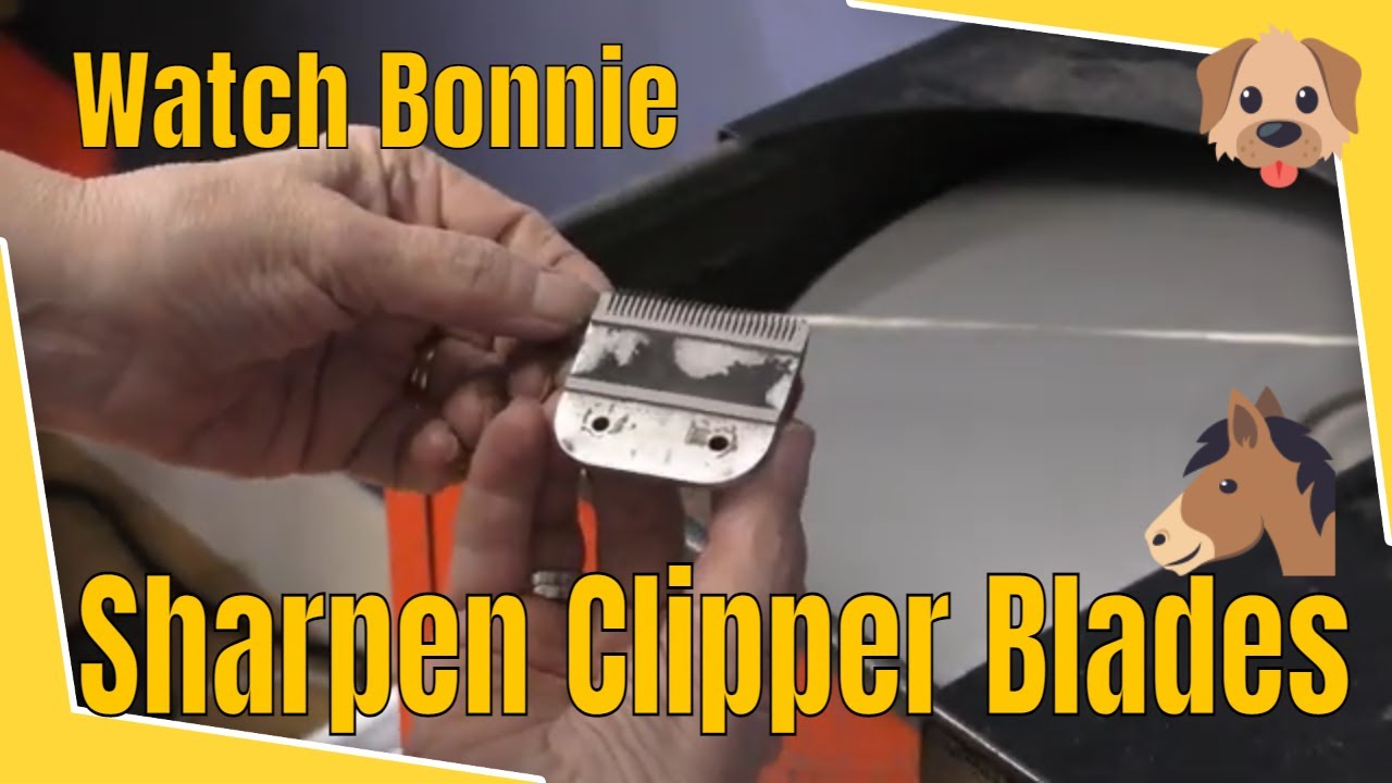 Clipper Blade Sharpening Demonstration Real Life Bonika Shears