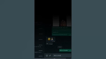 Simple chat bot using python — WhatsApp automation