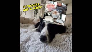 Celebrity The Very Best Dog Bed - The Couch Lounge Profile