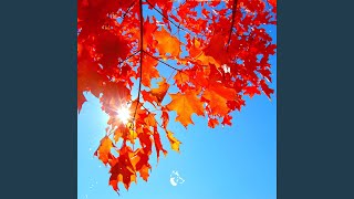 October Love