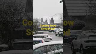 Snow arrived Snow #switzerland ##shorts #share #subscribe