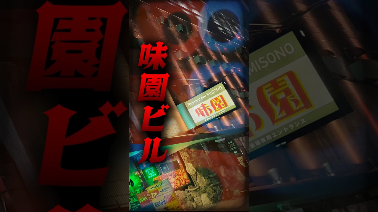 月刊ビル1〜7号＋特別号総力特集♦︎味園ビル 月刊ビル』特別号 「総力特集 味園ビル」 | p o e