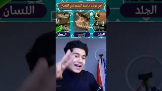 حل الالغاز والاسئله 1 ?