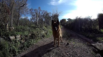 Gitup F1 Video Sample - 4K