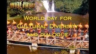 Wide Field: World Day for Cultural Diversity