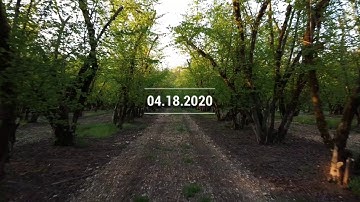 Dorris Ranch Drone Adventure - Springfield, Oregon (1080p)