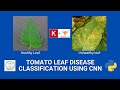 Tomato leaf's disease classification using CNN for binary class easy explain @codewithsk8