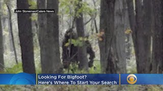 Looking For Bigfoot? Here's Where To Start Your Search