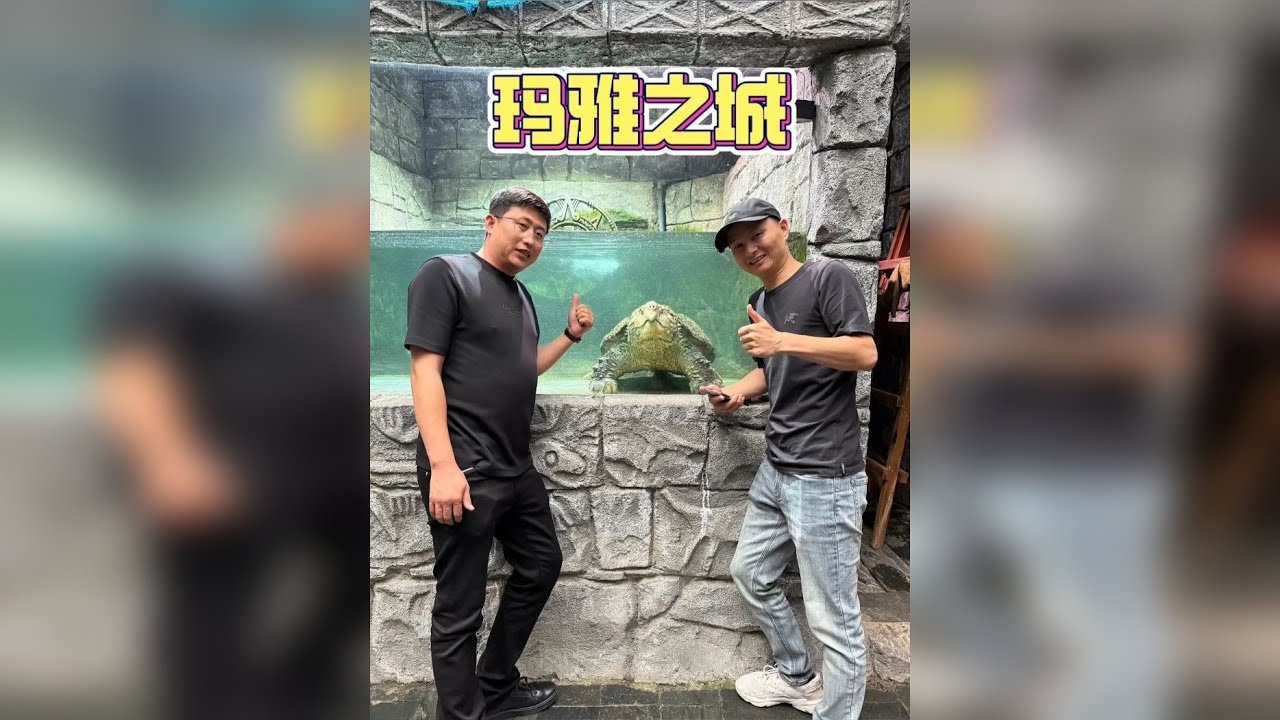 为见160斤变异原种巨鳄龟，粉丝跨越千里，满满的压迫感！