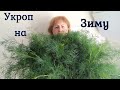 Как заготовить укроп на зиму!!!