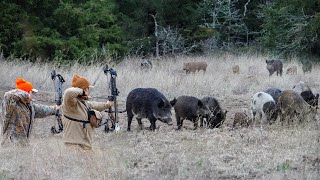 3... 2... 1... SHOOT! | HUGE BOAR HOG Hunting Spot and Stalk