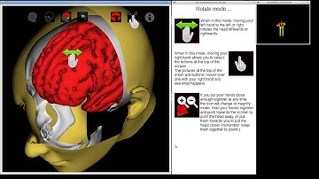 kinect virtual brain dissection