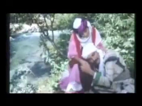 Sherif Qairan Sorgula Min