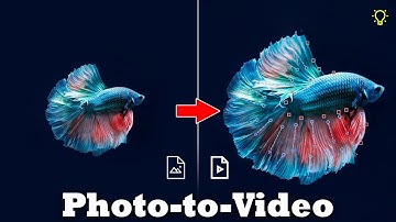 How to make Photo to Video? - So easy with PhotoMirage