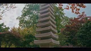 Kasteeltuinen Arcen 2025