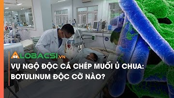 Vụ ngộ độc cá chép muối ủ chua Botulinum độc cỡ nào