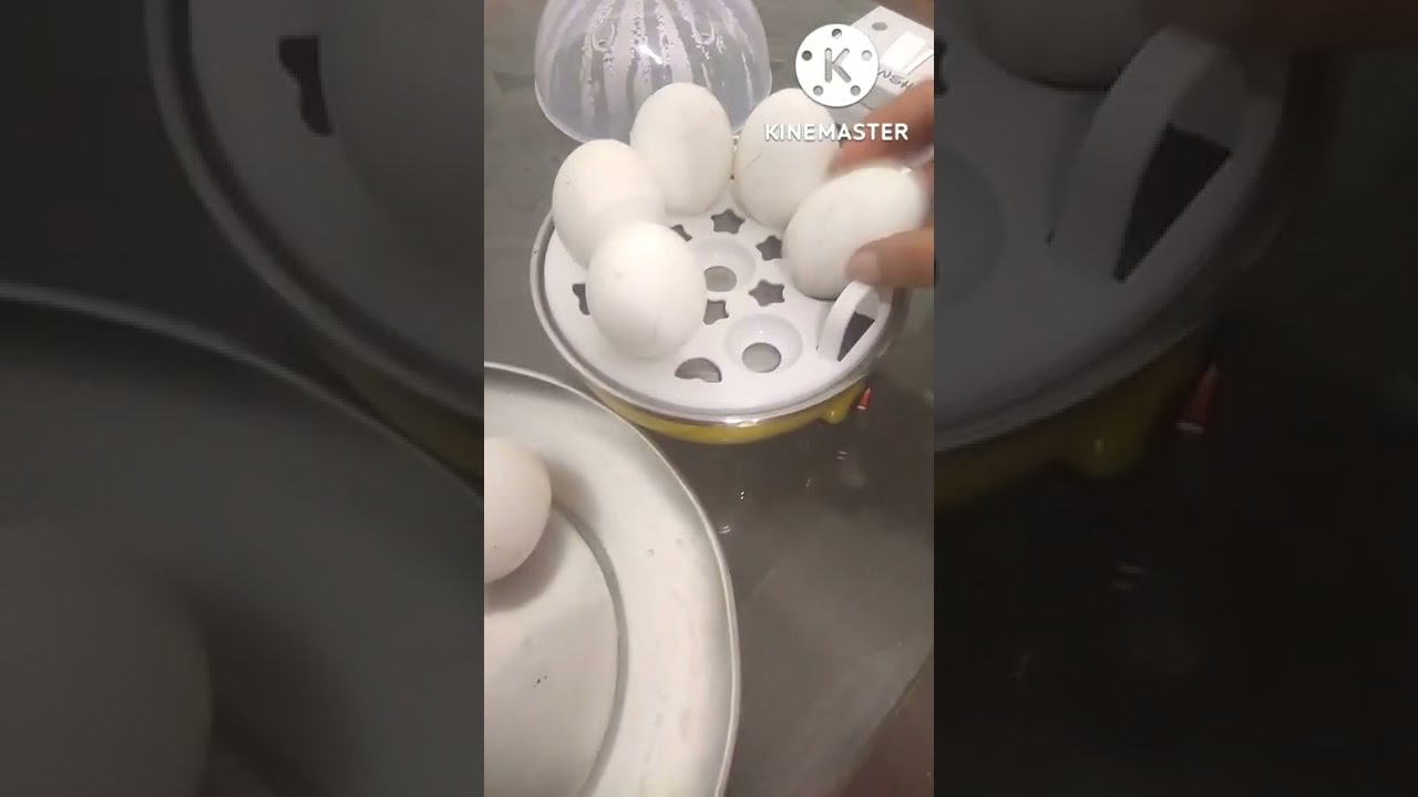 Amazing Egg Boiler || Simple and easiest way to boil egg with Flipkart product.