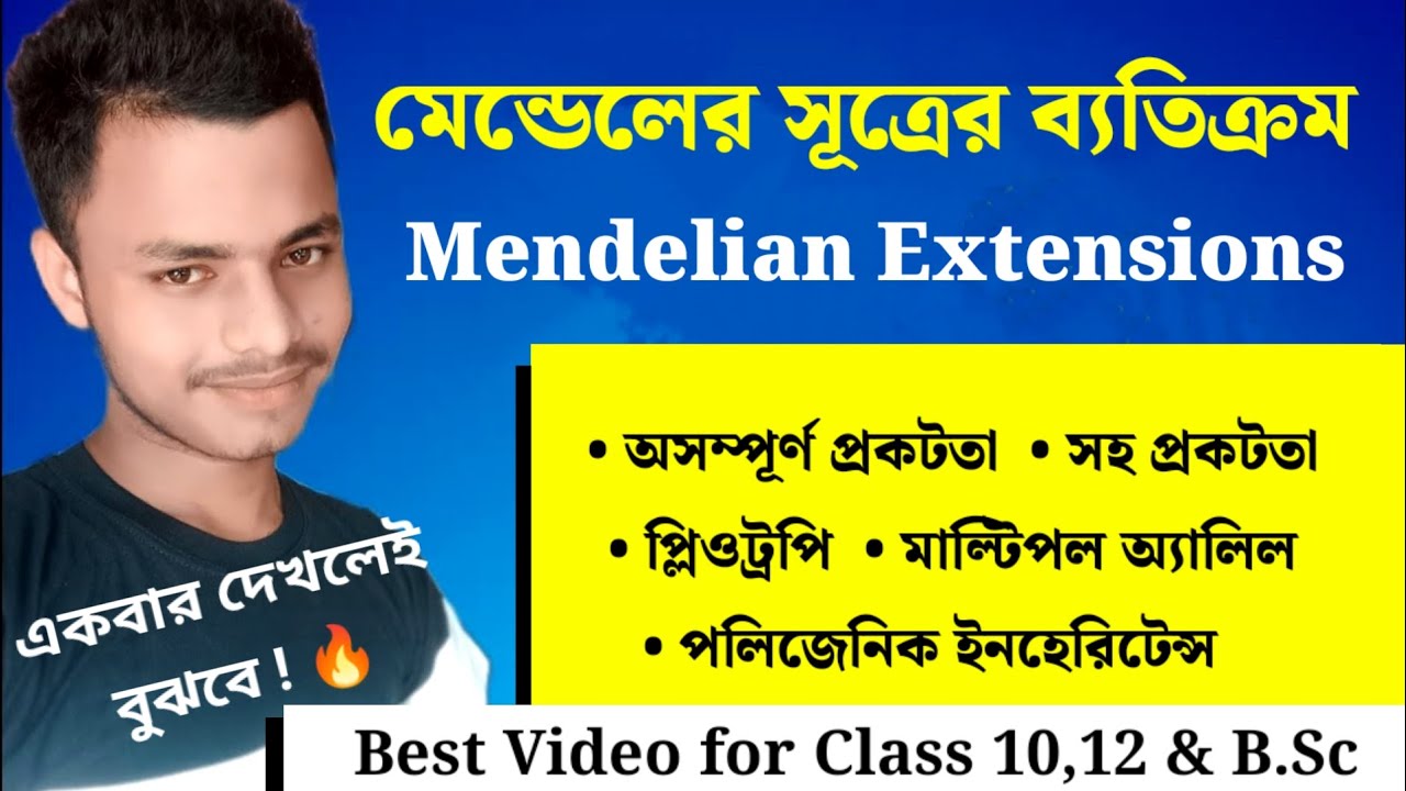 Chiroyli va jozibali qizlar Rus trans onalar va fohishalar