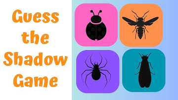 Guess the INSECTS from Their Shadow | Quiz Game for Kids, Preschoolers and Kindergarten