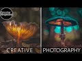 New Creative Autumn Photography Ideas | Glowing Mushroom