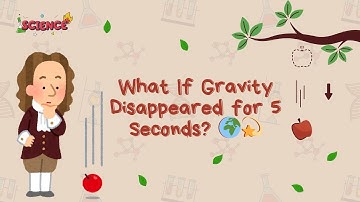 What If Gravity Disappeared for 5 Seconds? 🌍💫 Fun Science Experiment #magicmeadowschool