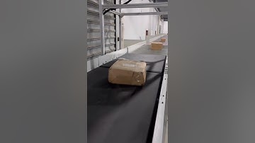 swivel wheel sorter, rotary wheel sorter, DWS system, DWS sorting line, scanning, weighing, conveyor