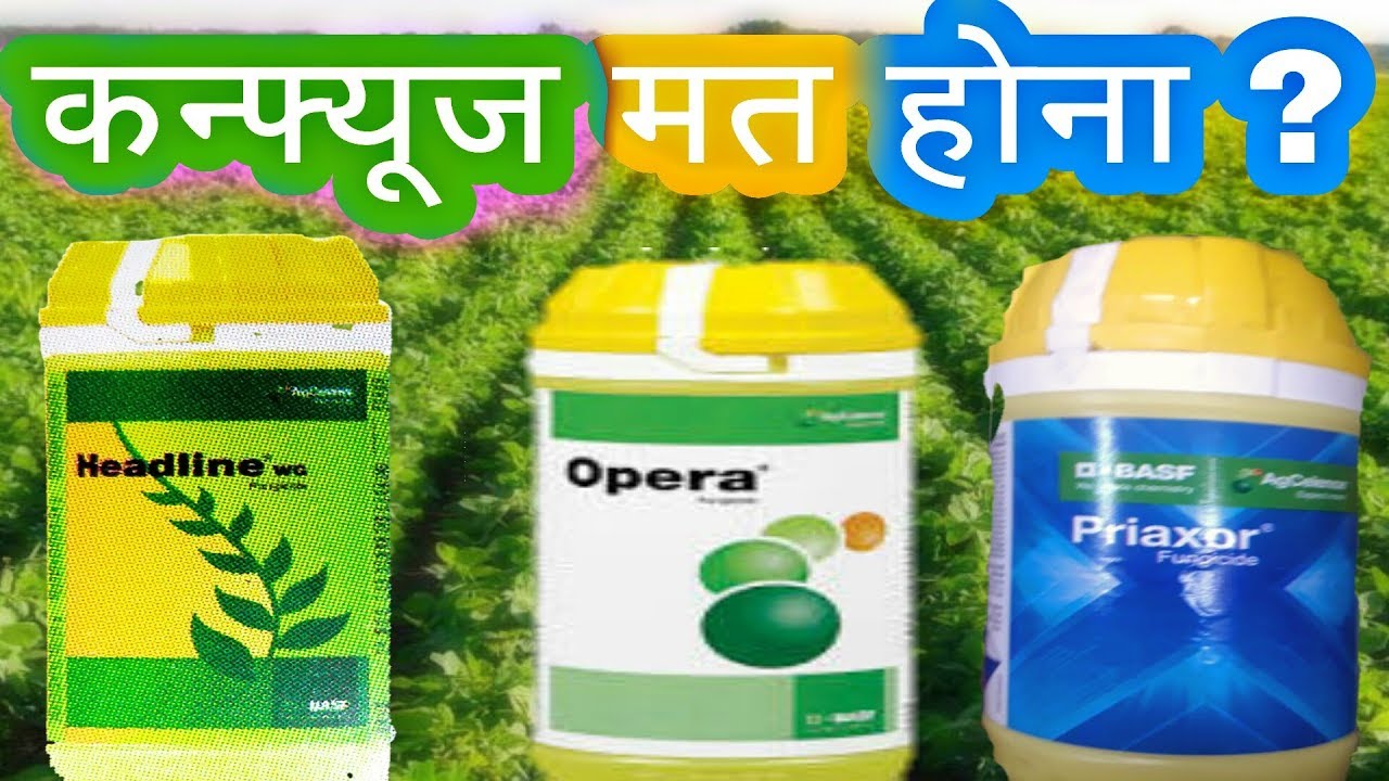 Opera Fungicide Label : How to Use BASF Opera for Soybean & Groundnut ...