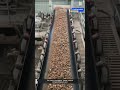 The equipment operates stably and the production line layout is reasonable