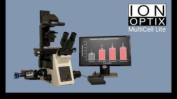MultiCell Lite Highlights