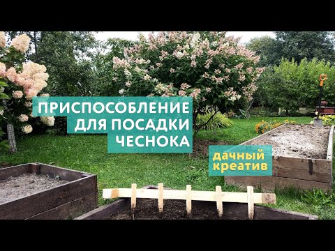 Приспособления для посадки чеснока своими руками