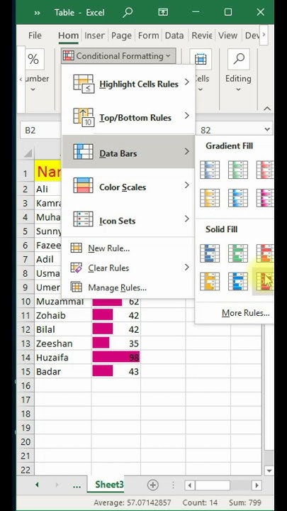 Data bars Excel|Excel conditional formatting data bars|Adding data bars ...