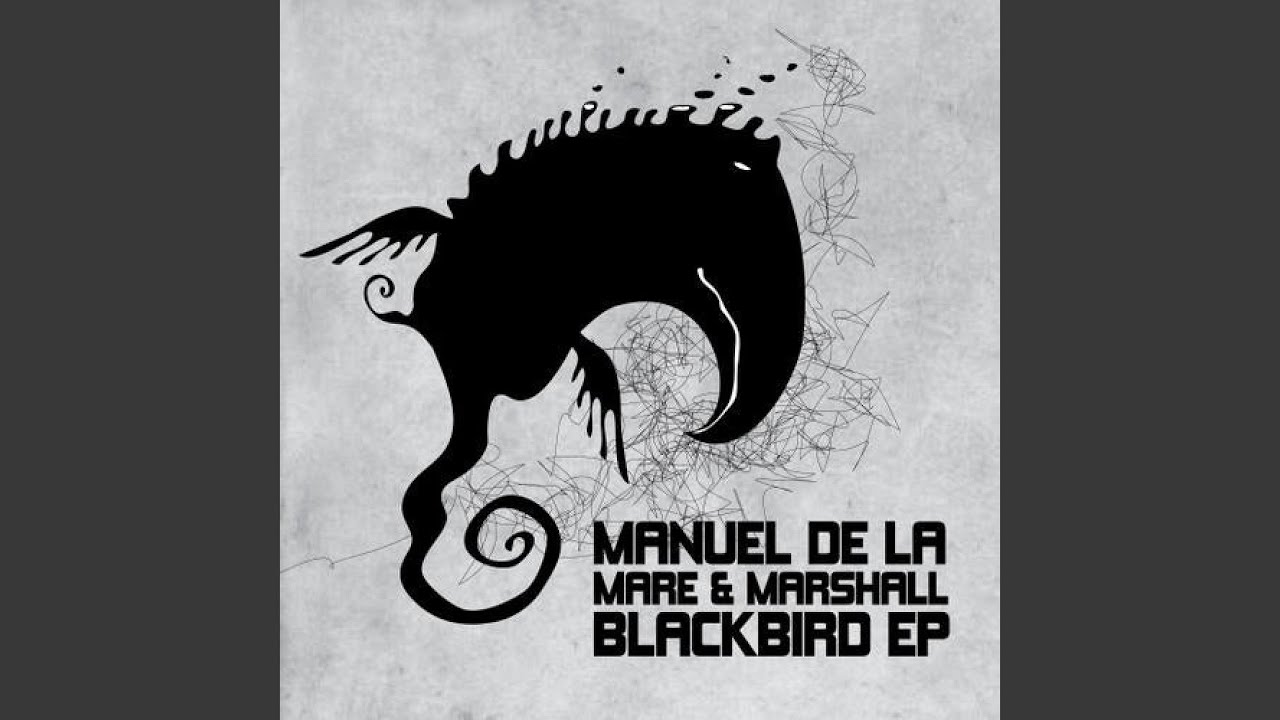 Watch Blackbird (Original Mix) on YouTube Watch Blackbird (Original Mix) on YouTube