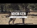 Japans rare dog breeds  nihon ken