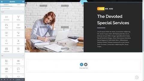 Phlox Export Section Promote