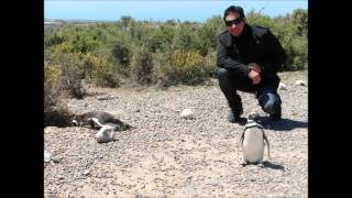 Provincia de Chubut.