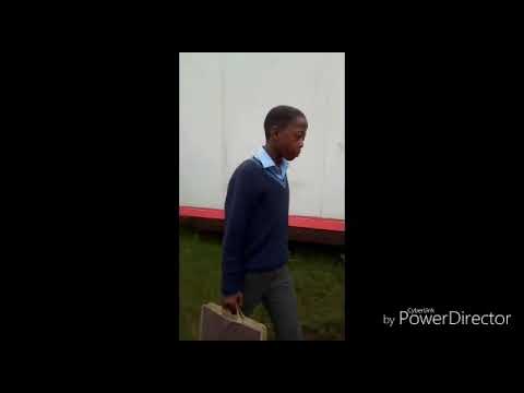 amadela amadela tik tok amadela amadela tik tok