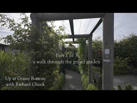 A walk around the gravel garden part 1 of 3