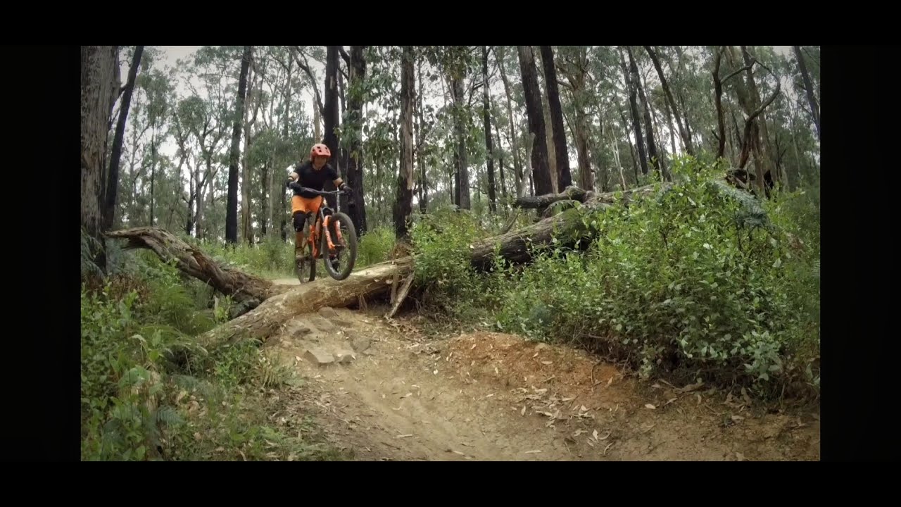 Ridin' JJ's | Silvan | 2020-02-04