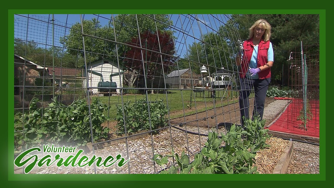 Garden Supports | Volunteer Gardener