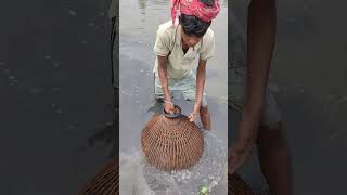 Village Traditional Bamboo Tools Polo Fishing (Part - 40 Forty) Resimi