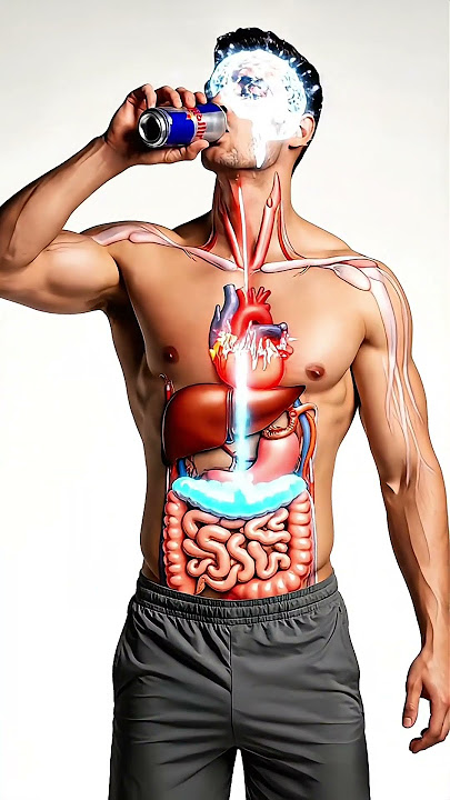 What Happens When You Drink Energy Drink? #EnergyDrink #RedBull #3DAnatomy #HealthAwareness