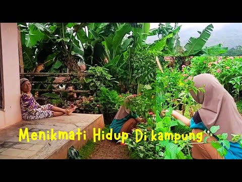 Di jamin betah menikmati hidup di kampung yang indah alam desanya, suasananya adem ayem dan tentram